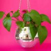 Living Sunshine Studios | Disco Hanging Planter 6"