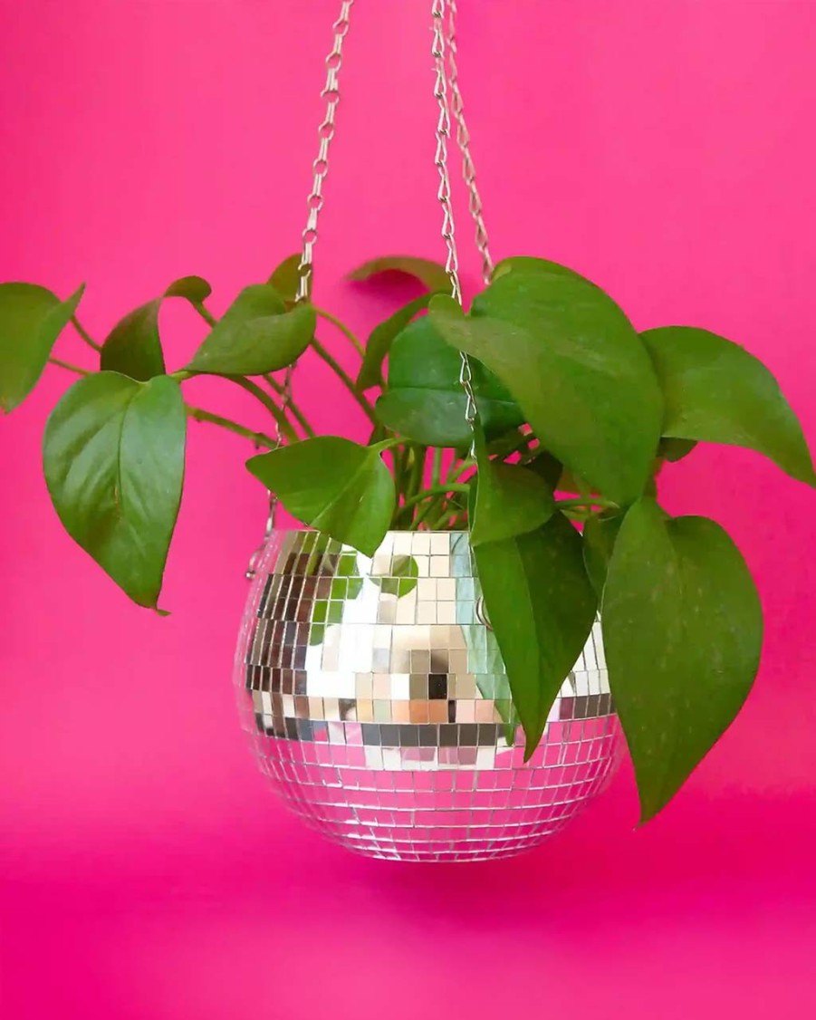 Living Sunshine Studios | Disco Hanging Planter 6"