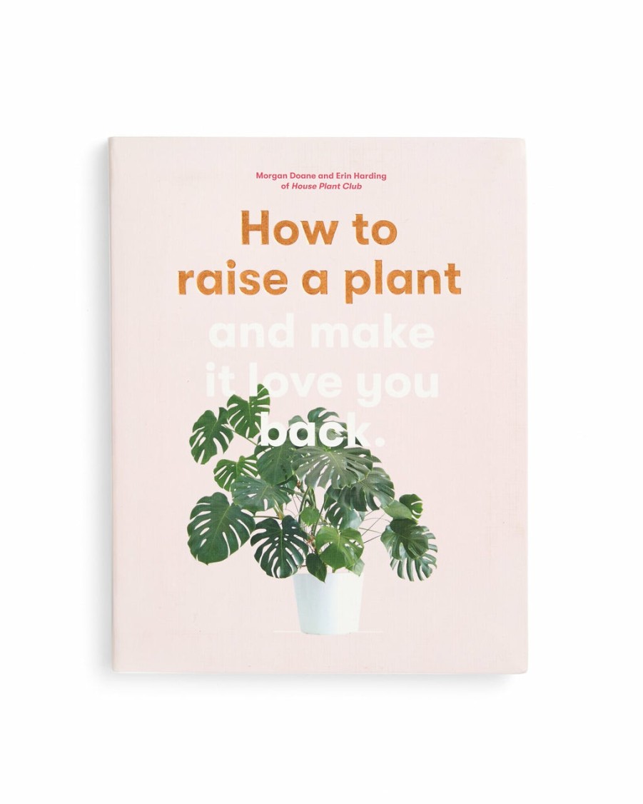 Living Morgan Doane | How To Raise A Plant And Make It Love You Back