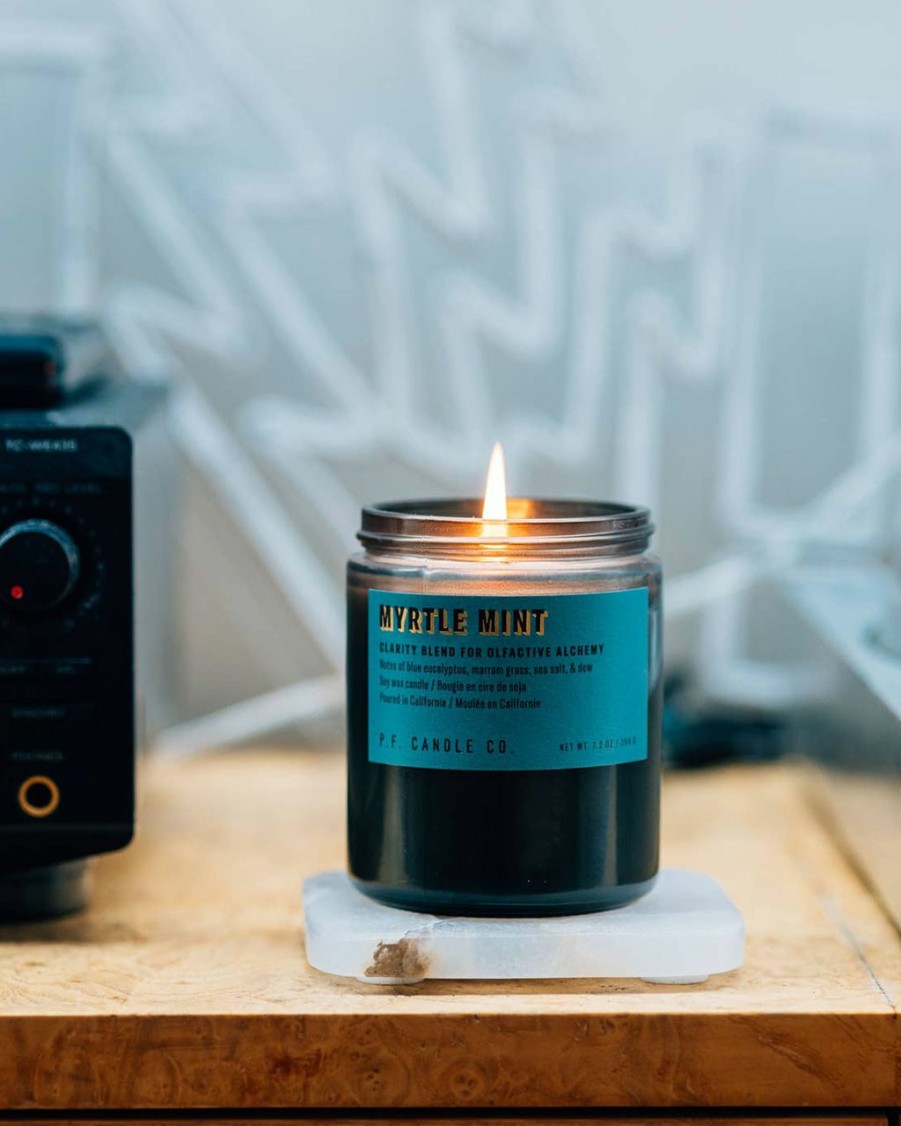 Living P.F Candle | Alchemy Standard Candle - Myrtle Mint