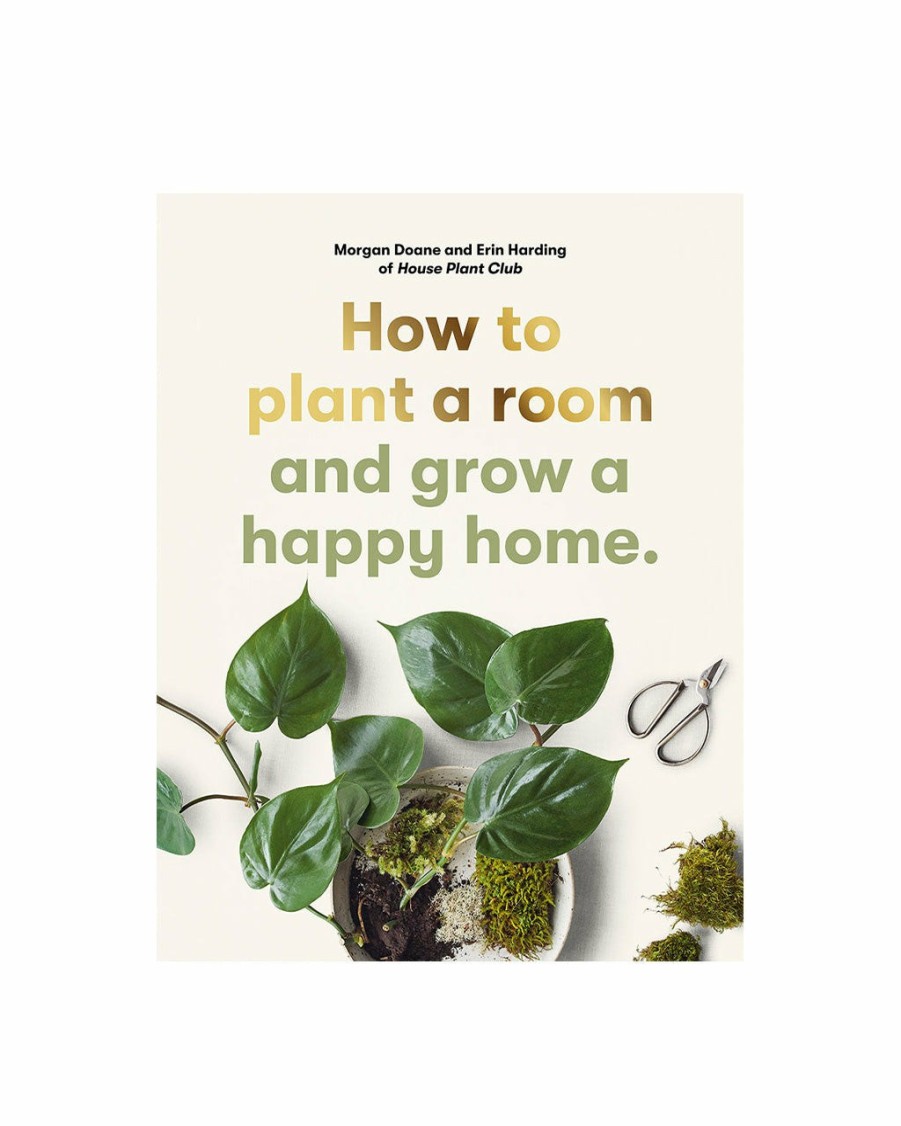 Living Morgan Doane u0026 Erin Harding | How To Plant A Room And Grow A Happy Home