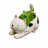 Living Streamline | Raise Your Bum Kitty Planter