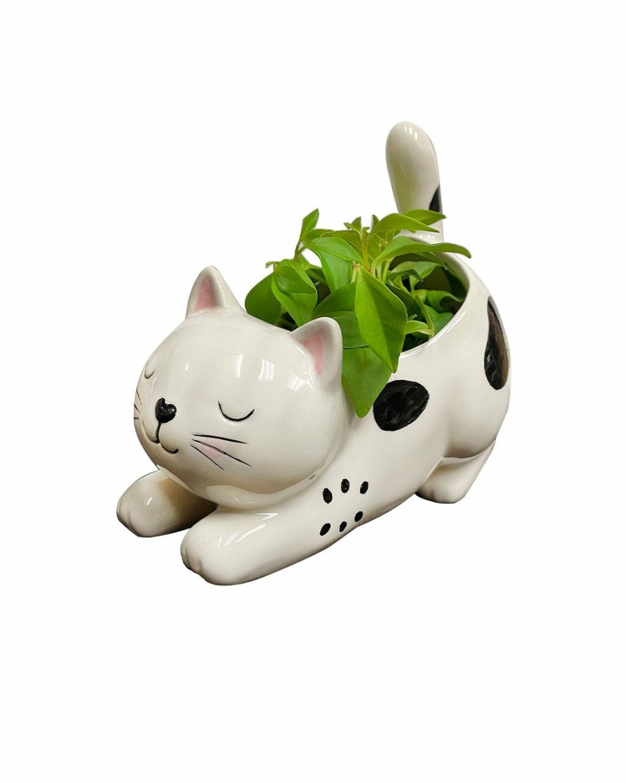 Living Streamline | Raise Your Bum Kitty Planter